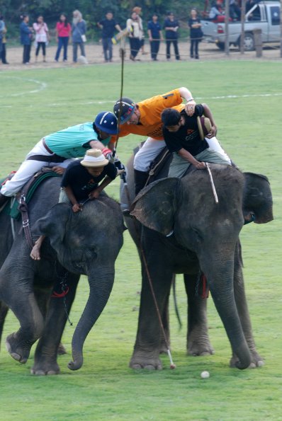 King'Cup Elephant Polo Tournament Chiangrai 1