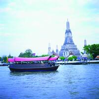 4 MC_CRUISE 4