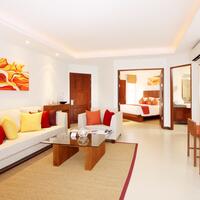 view from balcony looking in (one bedrm apt)