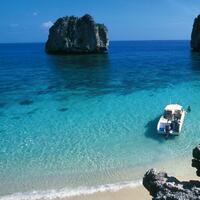 10- World class diving & snorkeling