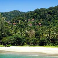 12- when jungle meet the sea