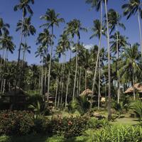 32 Rayavadee’s Natural Setting