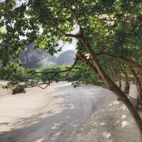 41 The Raitalay Villa