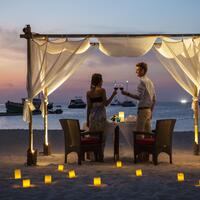 Romantic Dinner Couple2