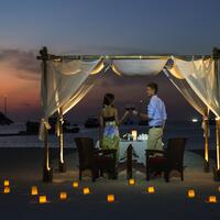 Romantic Dinner Couple1