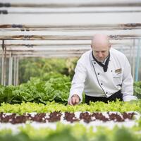 Hydroponic Garden