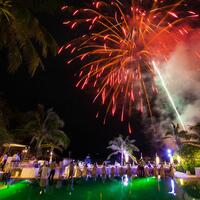 Wedding Celebration 1