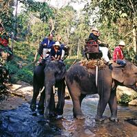 Adventure 046