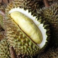 Durian