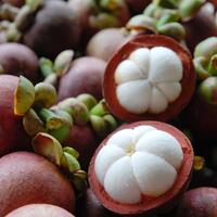 Mangosteen