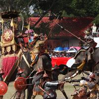 Surin Elephant Roundup 3