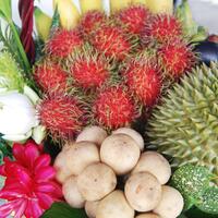 Thai Fruits