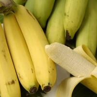 Food & Fruit 067