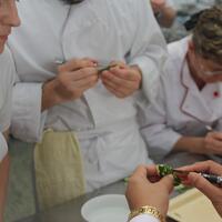 IMG_7595