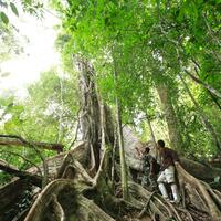 Khao Sok National Park,Surat Thani 1
