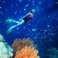 Surin Islands,Phang-nga