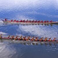 31.Koleh Tradition-TT_1