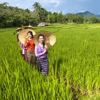 38.Mae Hong Son-Ban Muang Pon Amphoe Khun Yuam-01PN