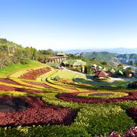 43.Chiang Rai-Doi Mae Salong-434PO