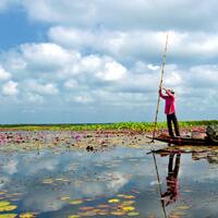 65.Phatthalung-Thalae Noi_TAT3064CU