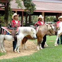 Farm Chokchai,Nakhon Ratchasima