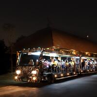 Chiang Mai Night Safari 2