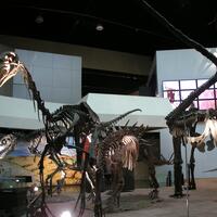 Sirindhorn Museum,Kalasin