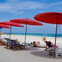 RAYONG1-61