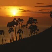 PHUKET_09