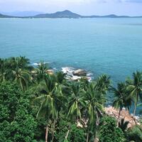 SURAT_14