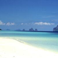 TRANG_03