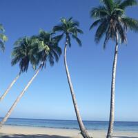 TRAT_05