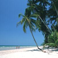 TRAT_07