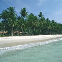 TRAT_12